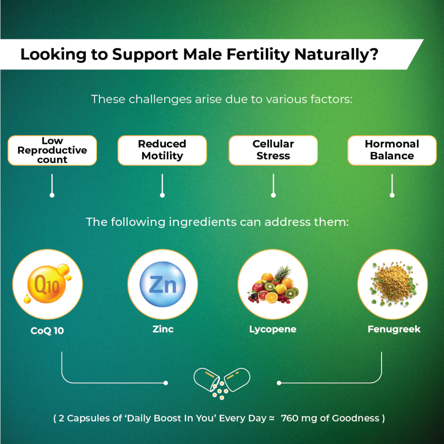 InYou Daily Boost Fertility Supplement for Him– 60 Veg Caps