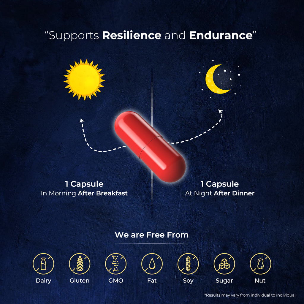 InYou Last Long Performance & Energy Support Supplement for Him - 60 Veg Caps